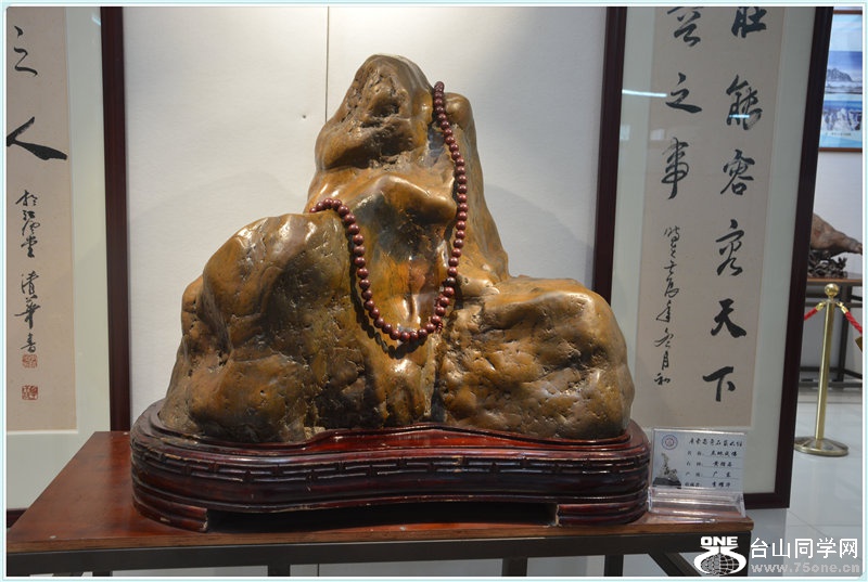 65.DSC_2310.jpg