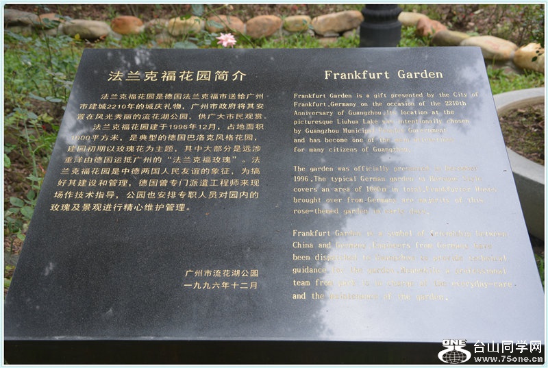 13.DSC_2322.jpg
