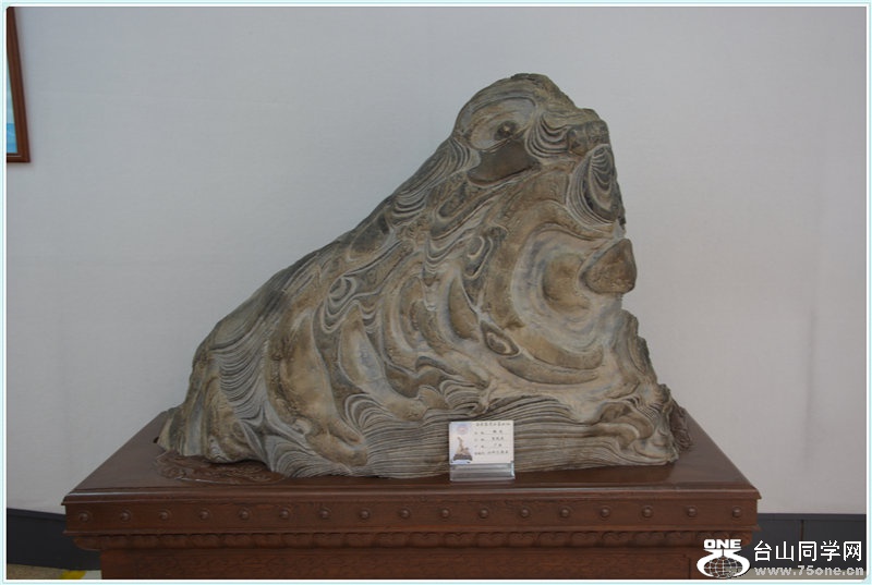 60.DSC_2305.jpg