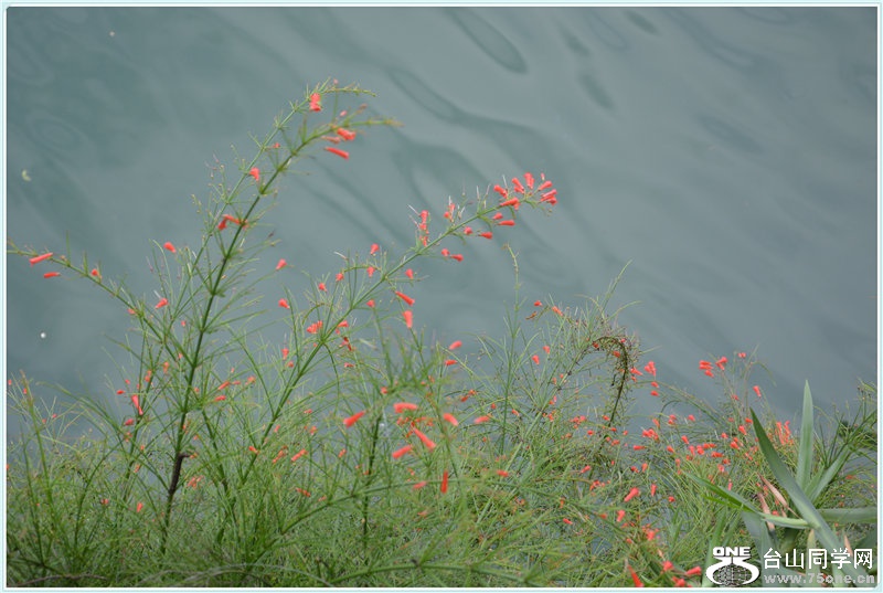 70.DSC_2356.jpg