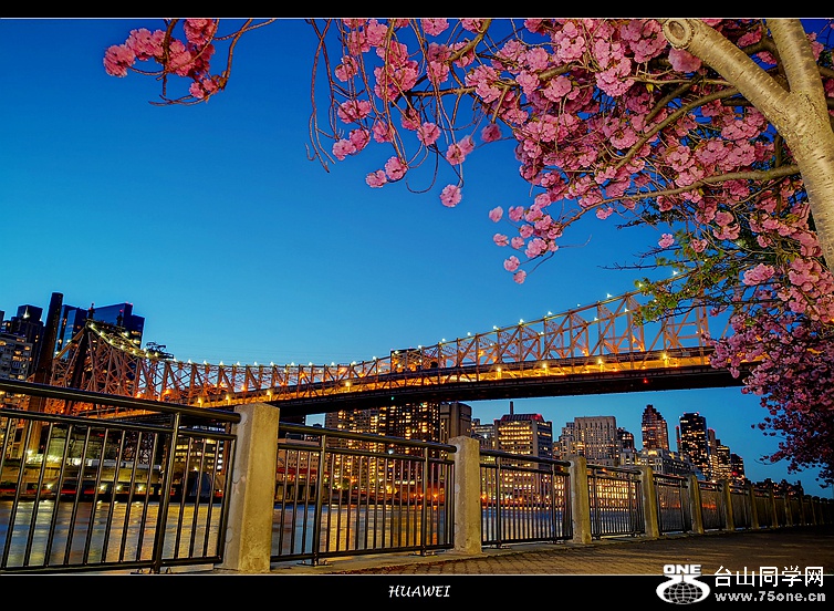 IMG_20190427_202156 (1).jpg