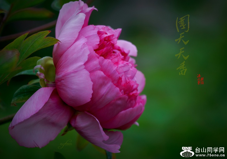 DSC08017._.jpg
