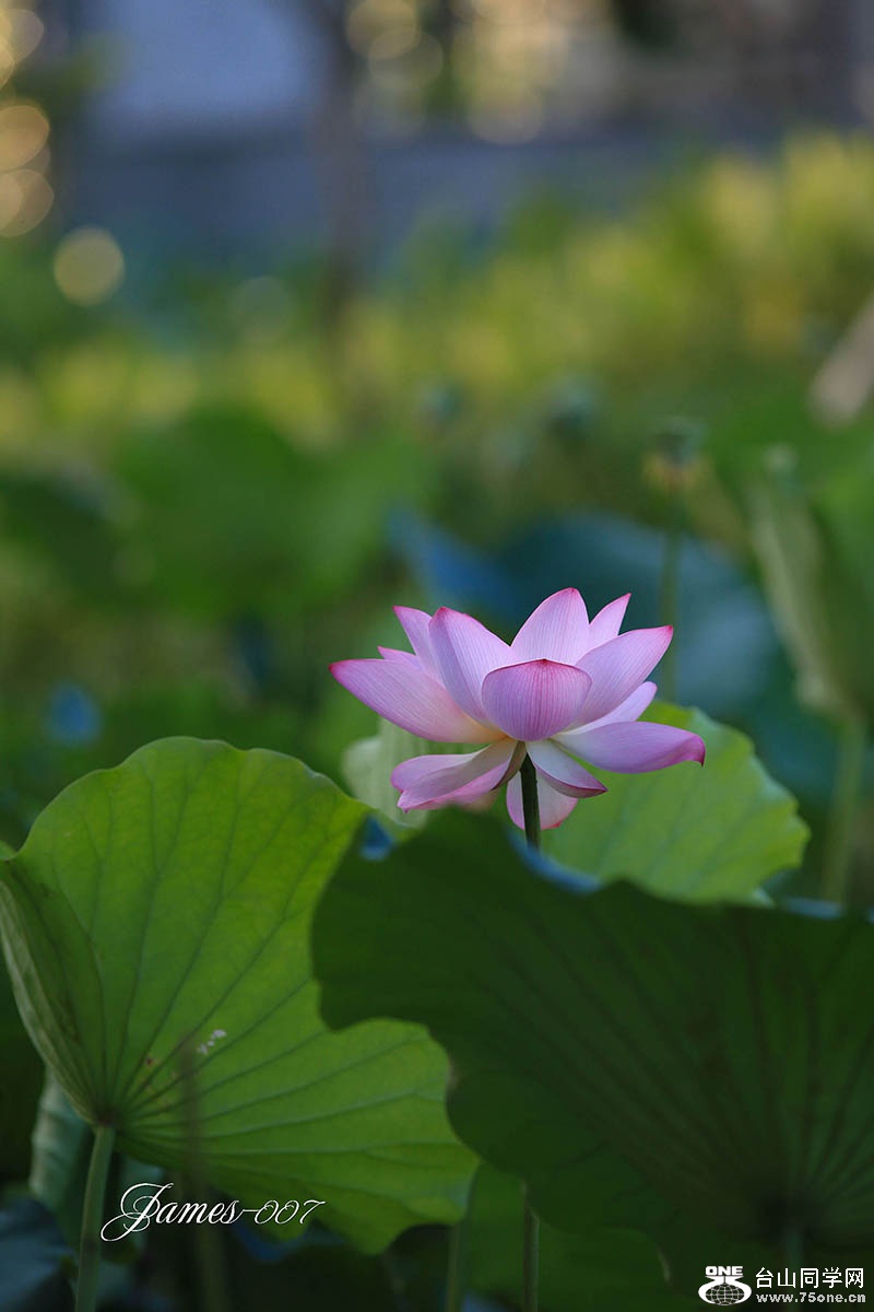 ���� (6 - 64)_��ͼ��.jpg