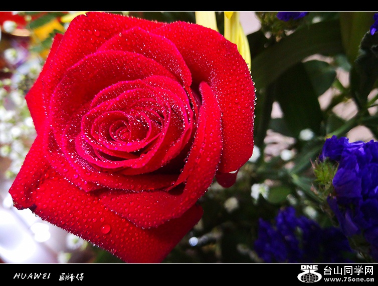 IMG_20190512_215004.jpg