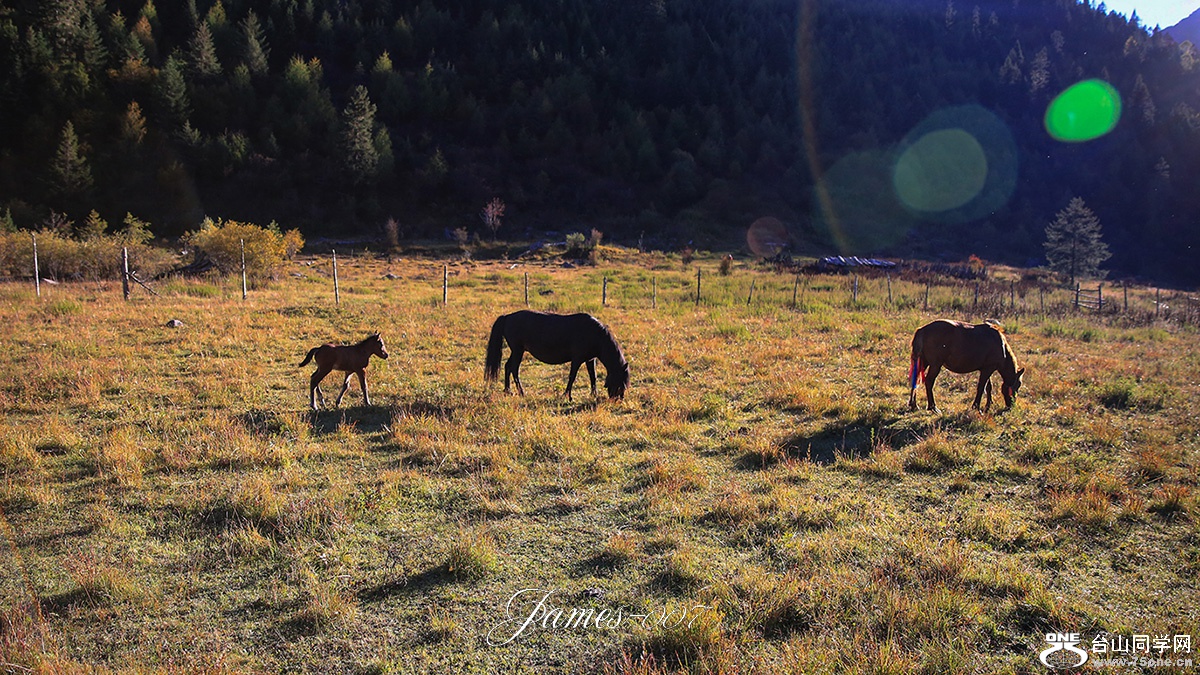 hhuuy-4 ����.jpg