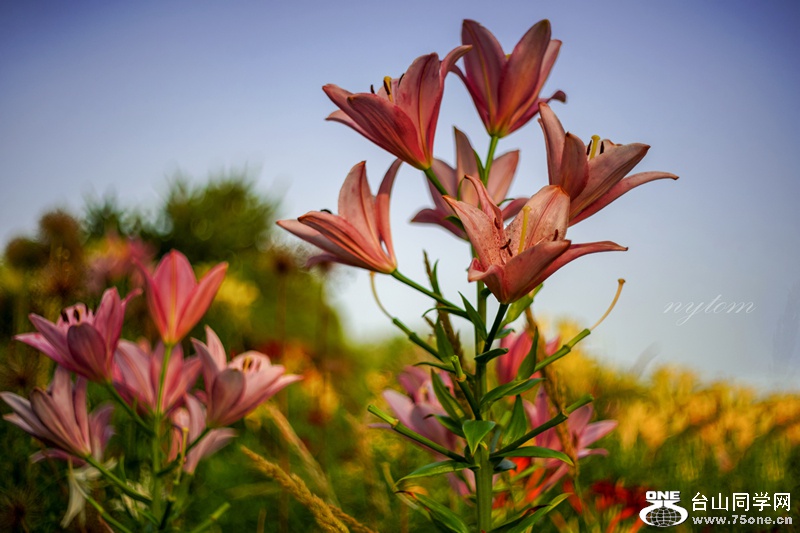 DSC07224_.jpg