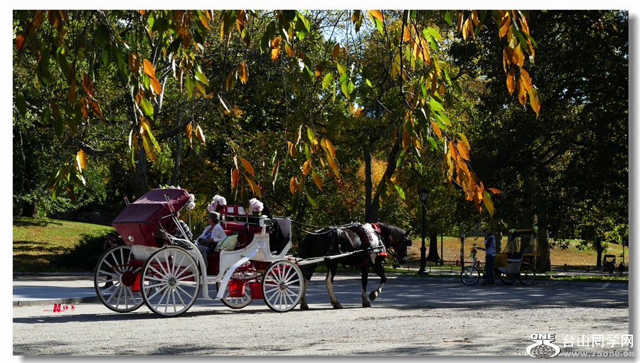L1060585_.jpg
