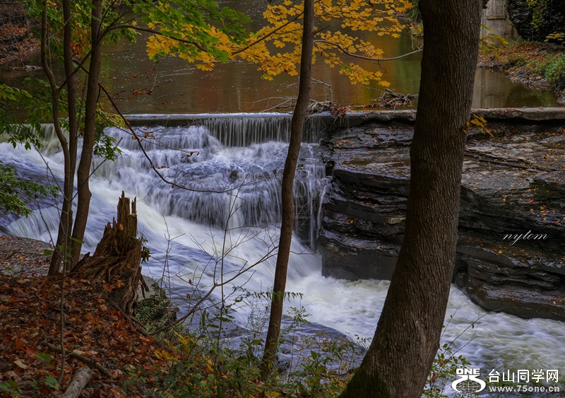 DSC02816_.jpg