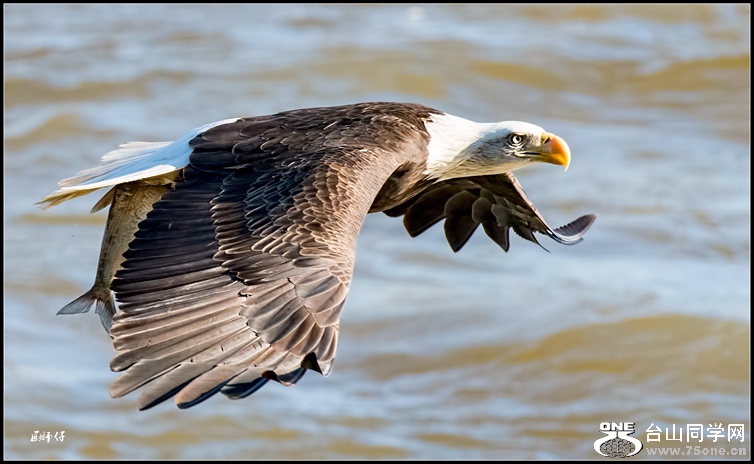 _DSC4931_.jpg