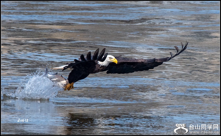 _DSC6706a_.jpg