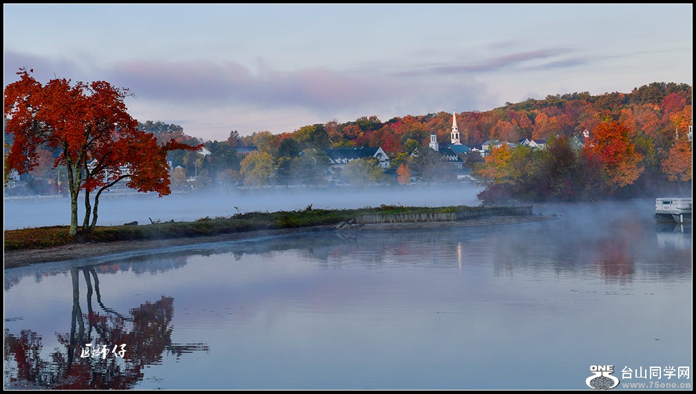_DSC5354.jpg