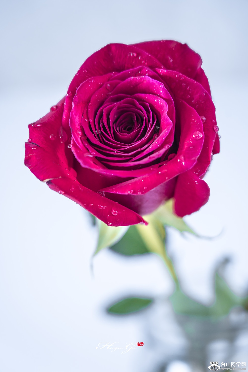 DSC05342_.jpg