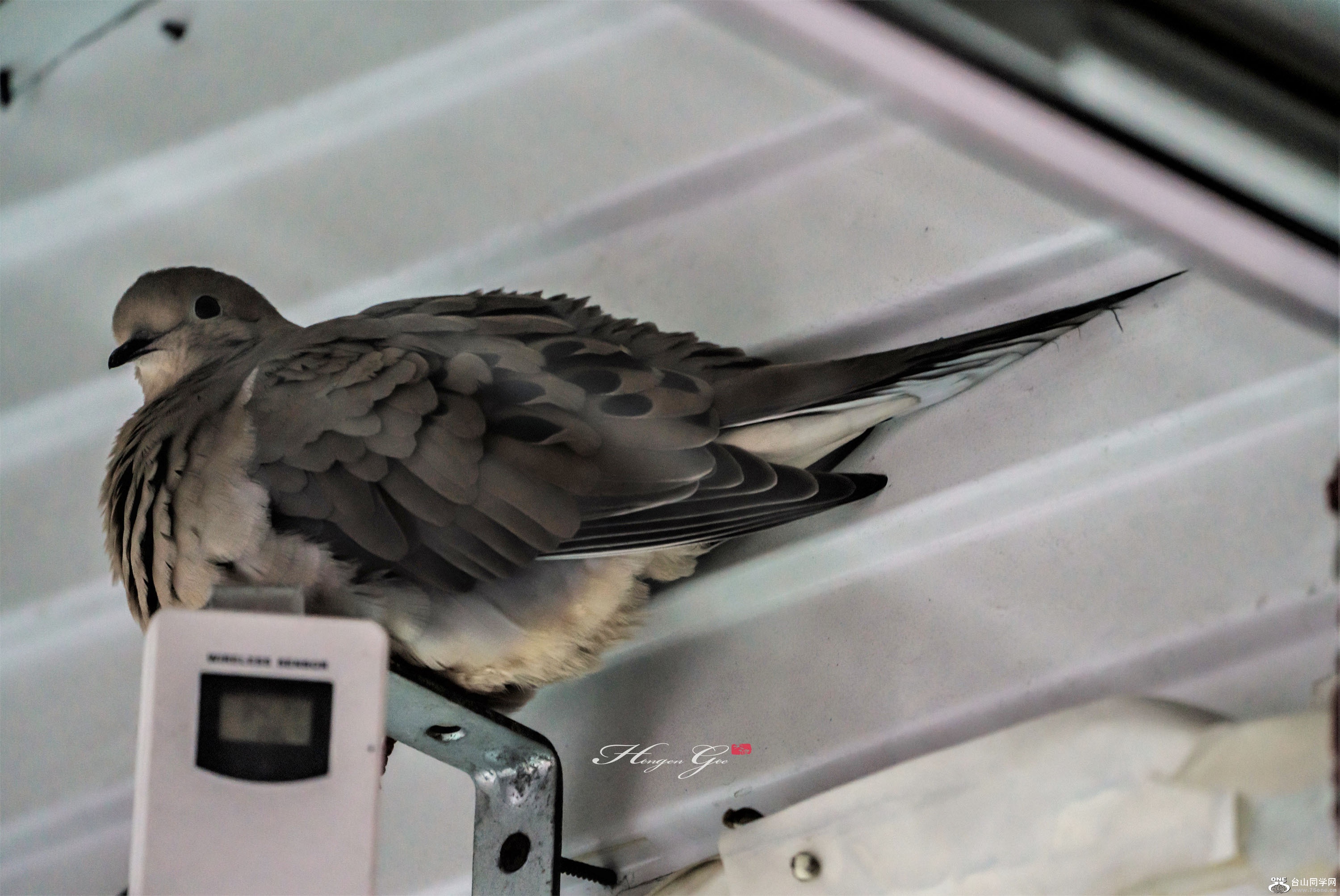 DSC04905=_.jpg