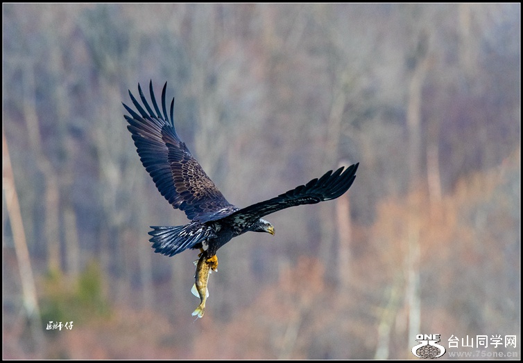 _DSC8656__.jpg