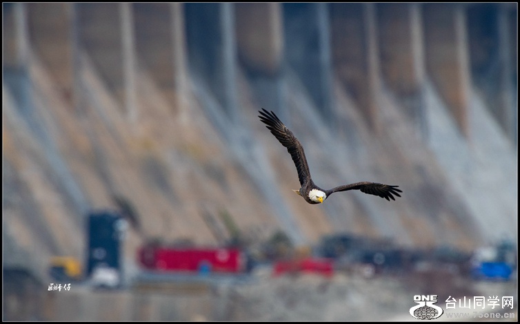 _DSC7920_.jpg
