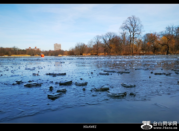 IMG_20200215_135514[1]_.jpg