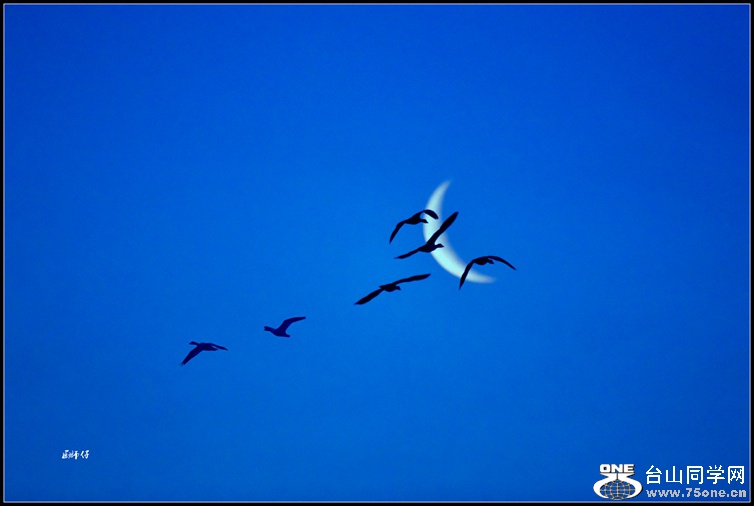 _DSC2798_.jpg