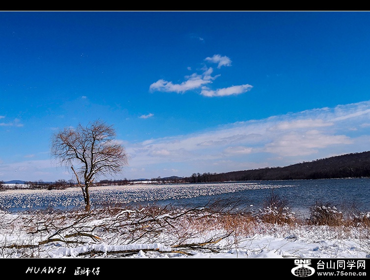IMG_20190304_134220.jpg