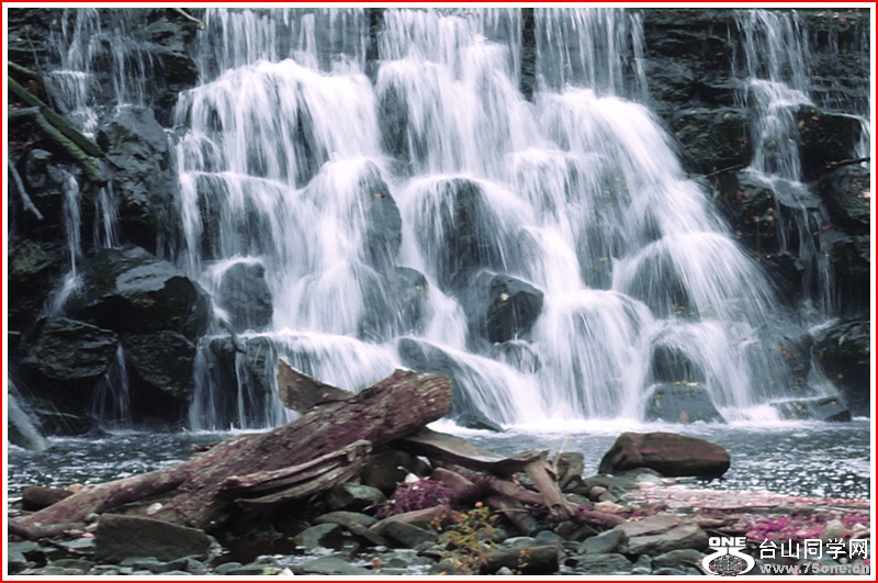 DSCN0547.jpg