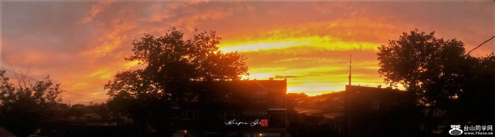20200627_221113-1_.jpg