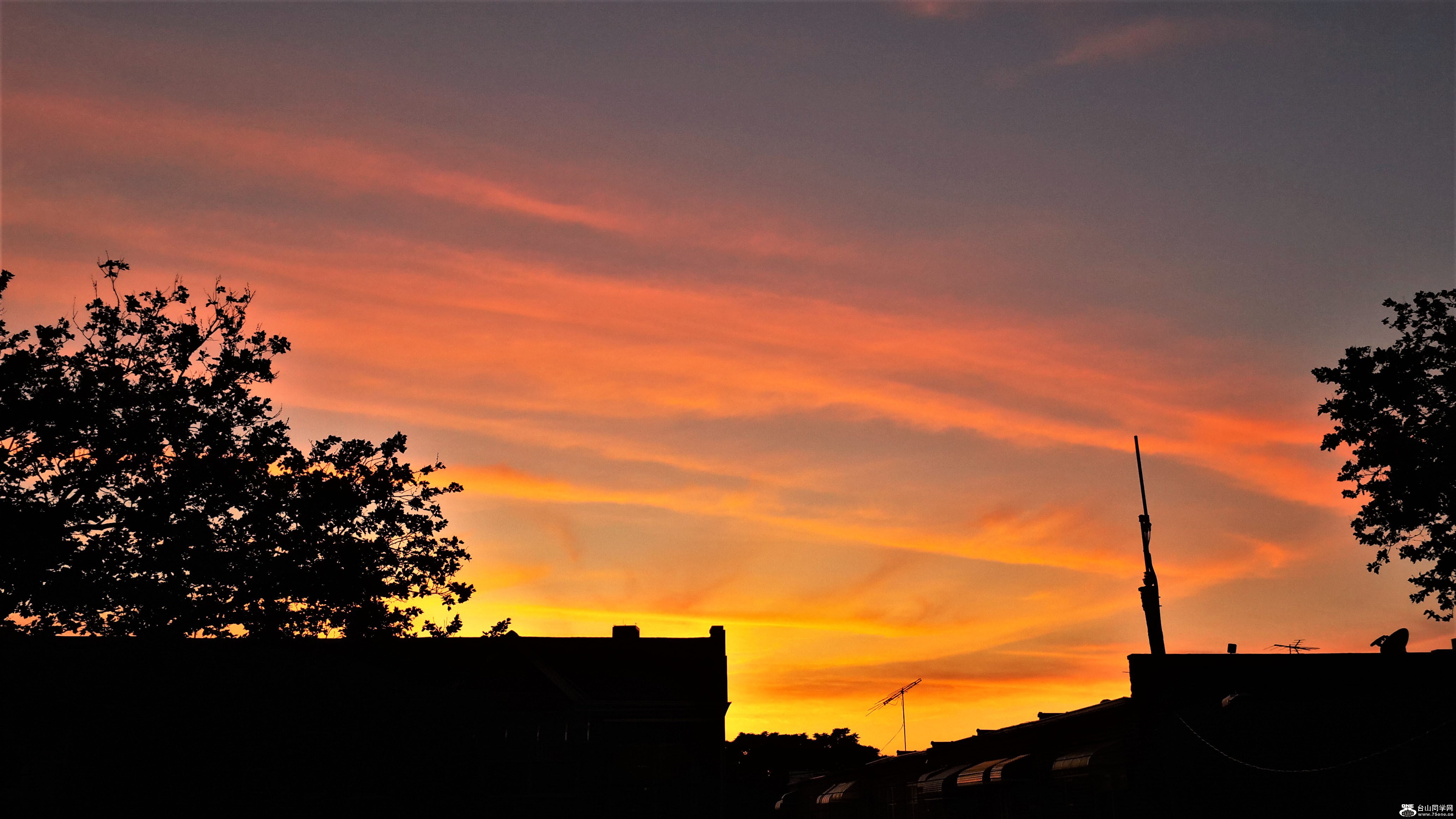 20200615_203447-1.jpg