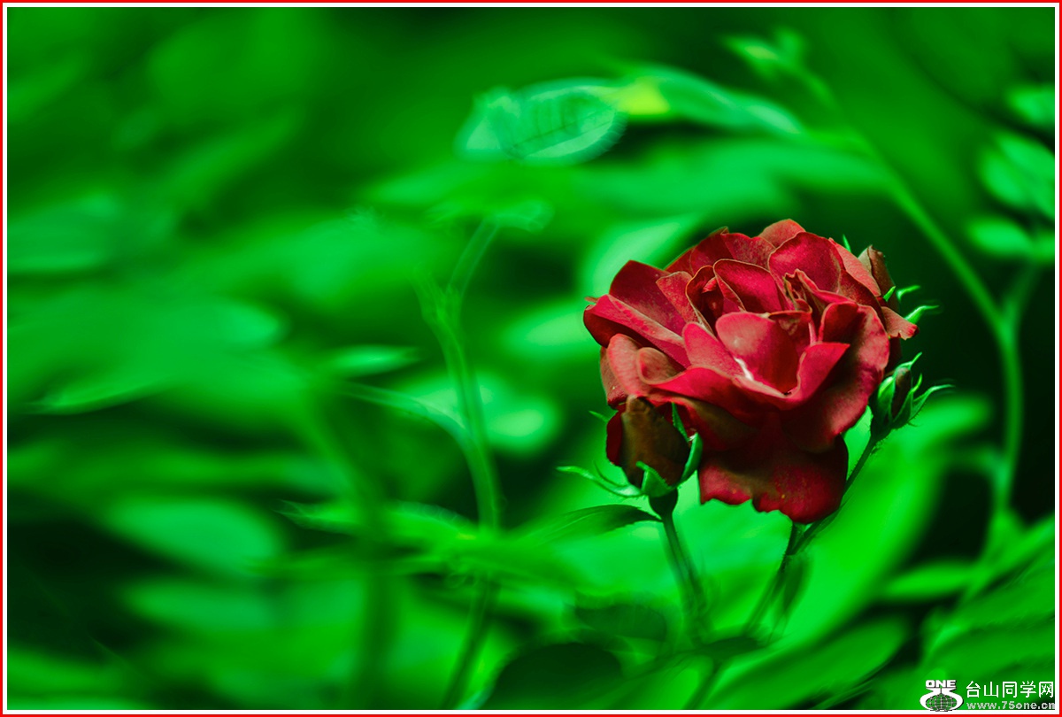 _DSC9075a.jpg