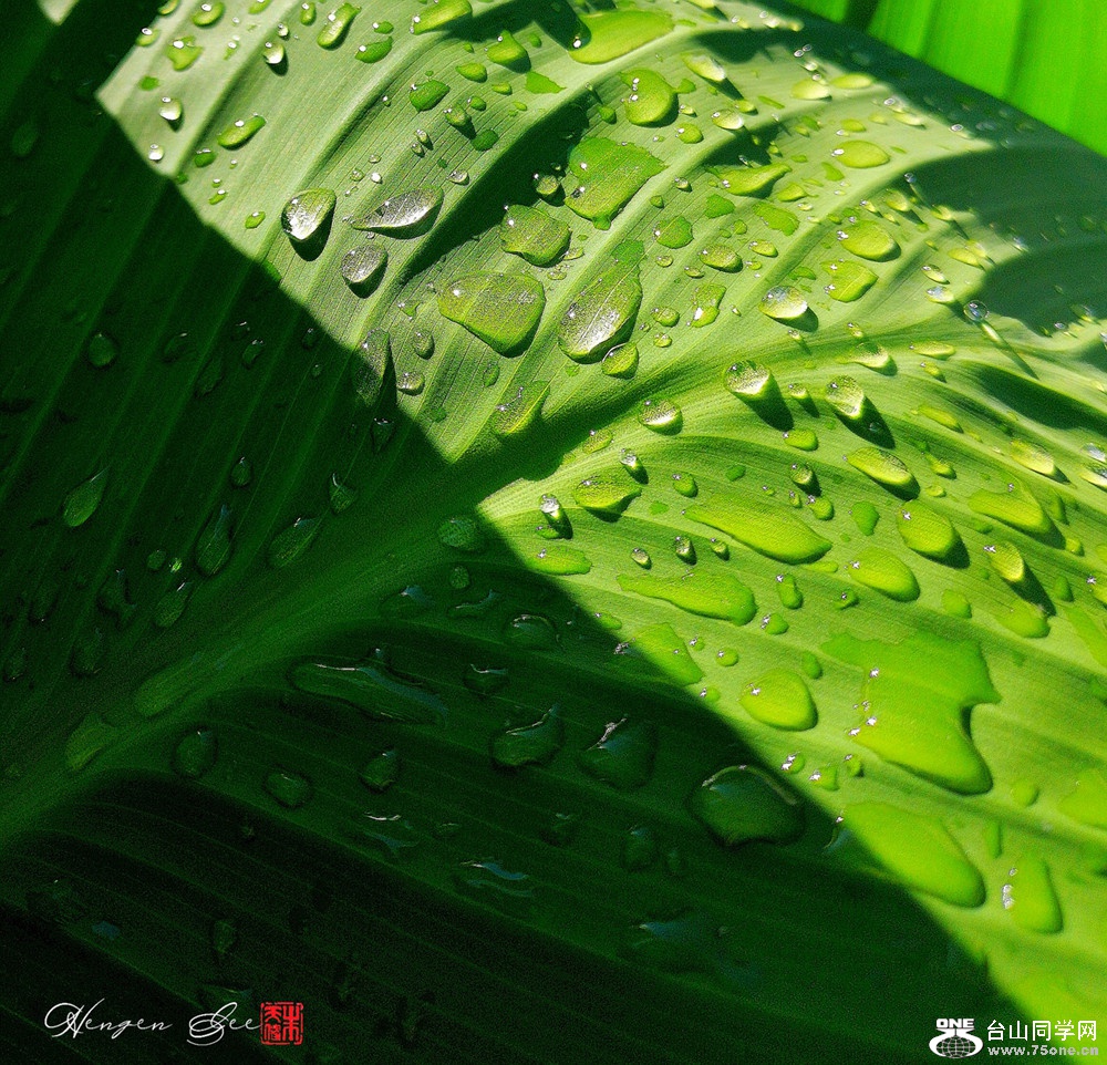 WGP_2020_07_13_10_47_23_1594651643701.__.jpg