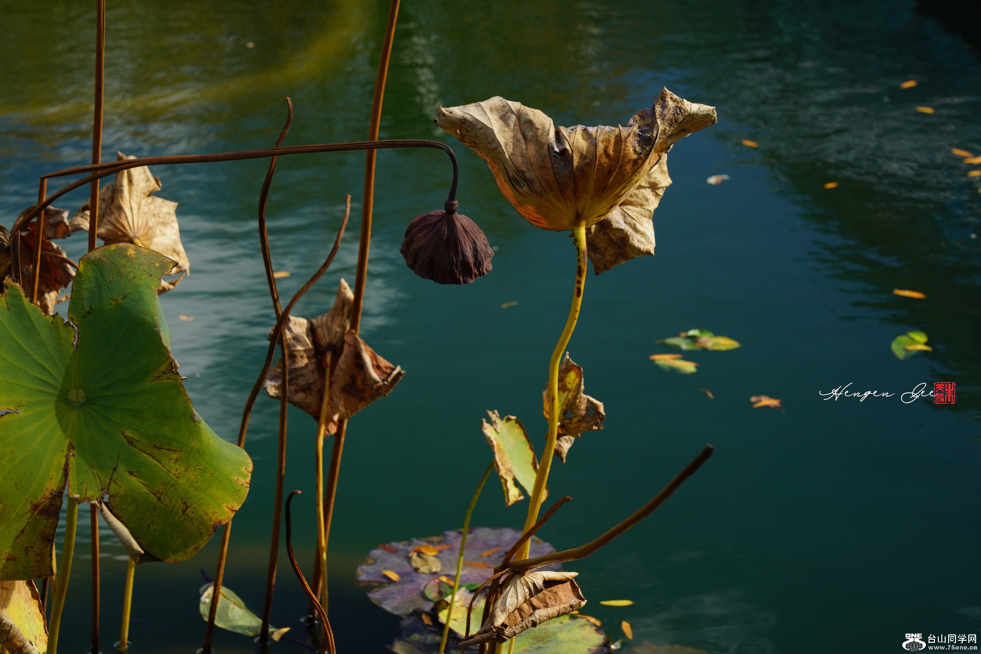 DSC02538_.jpg
