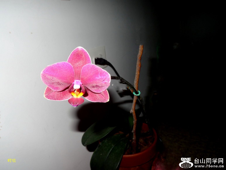 DSC03387_1.JPG