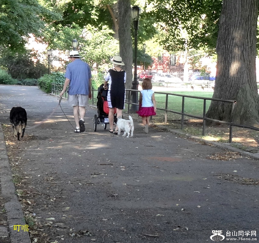 DSC08302b.jpg