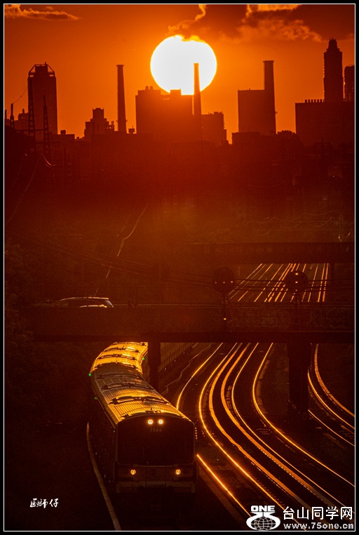 a_DSC1928a_.jpg