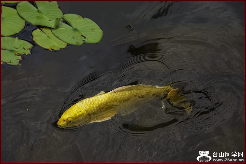 _DSC9384.jpg