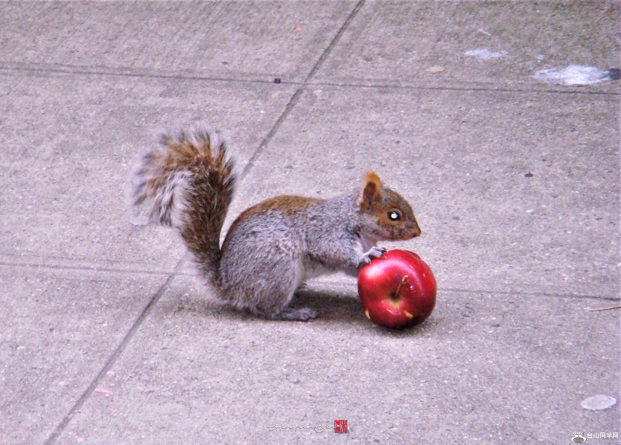 DSC01187_.jpg