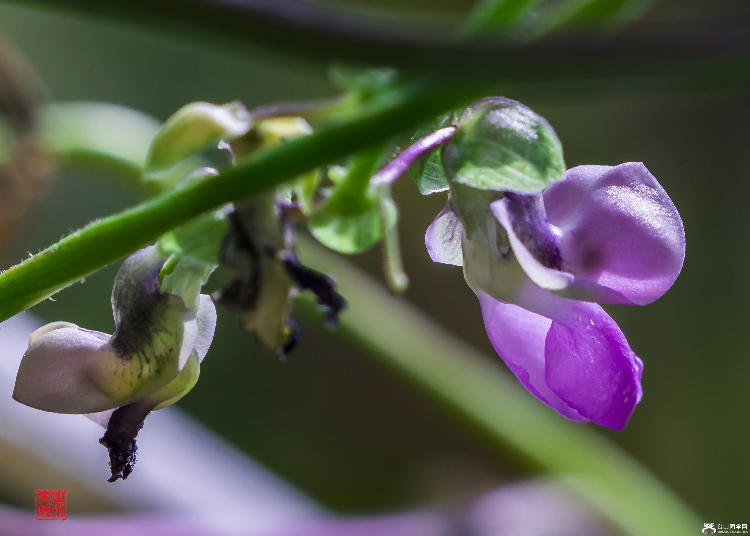 DSC01204_.jpg