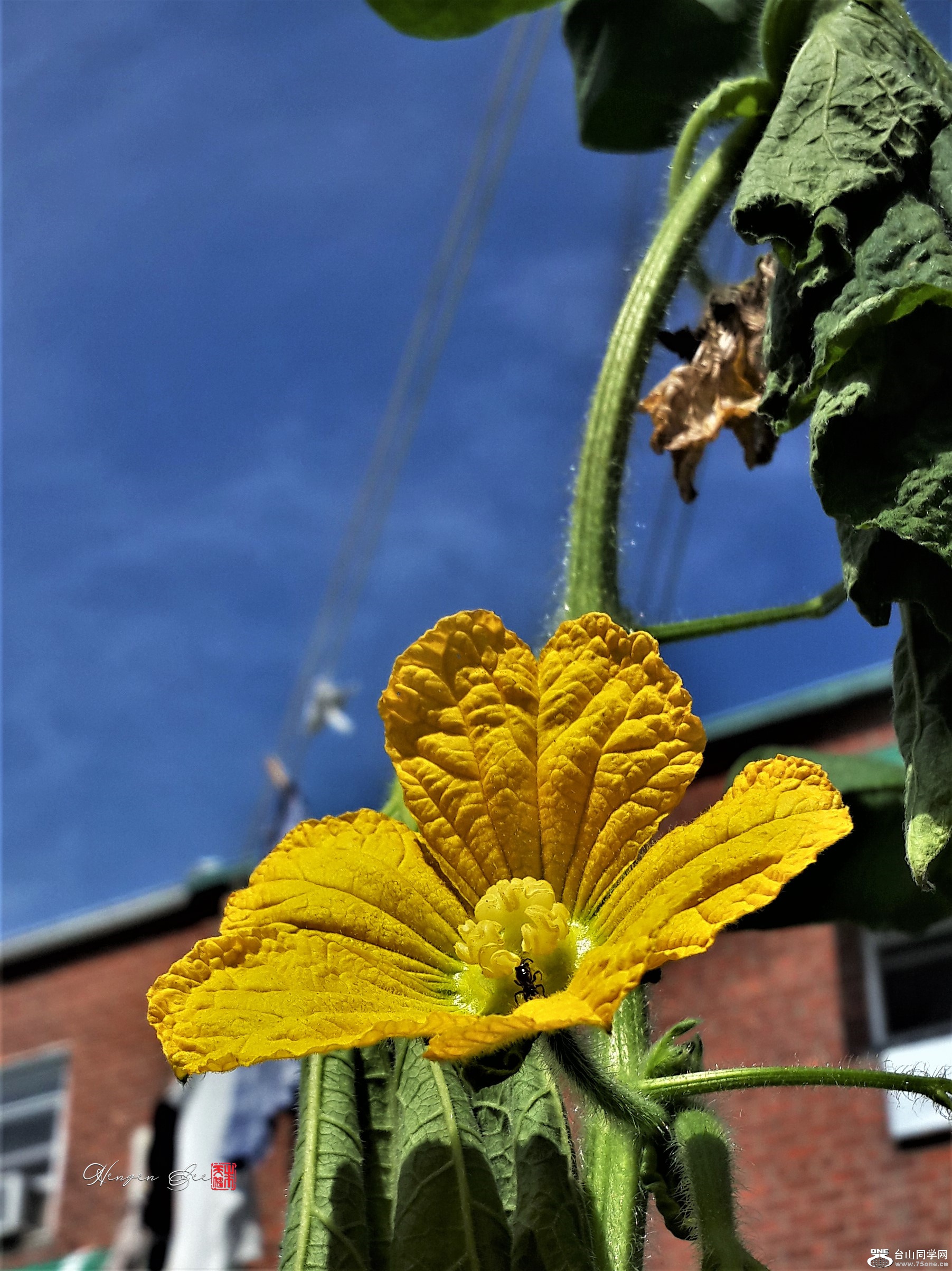 20200821_105201.jpg