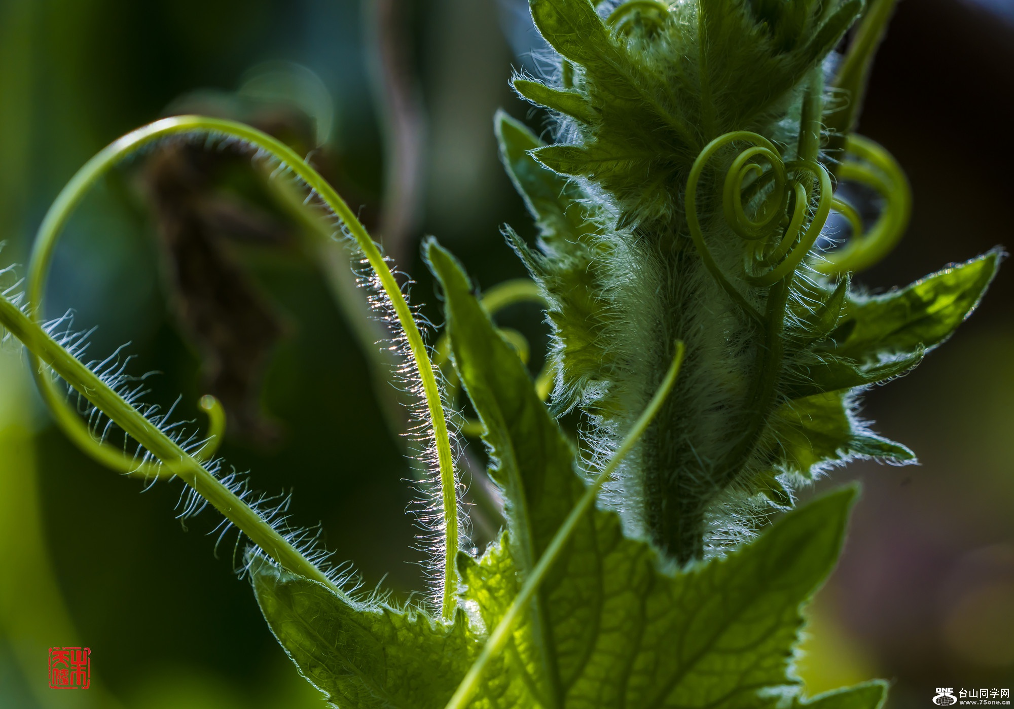 DSC01205_.jpg