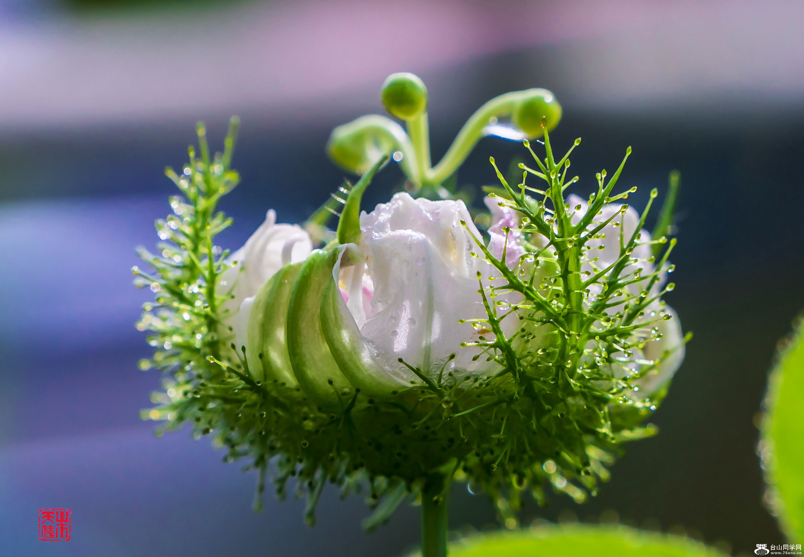 DSC01203_.jpg
