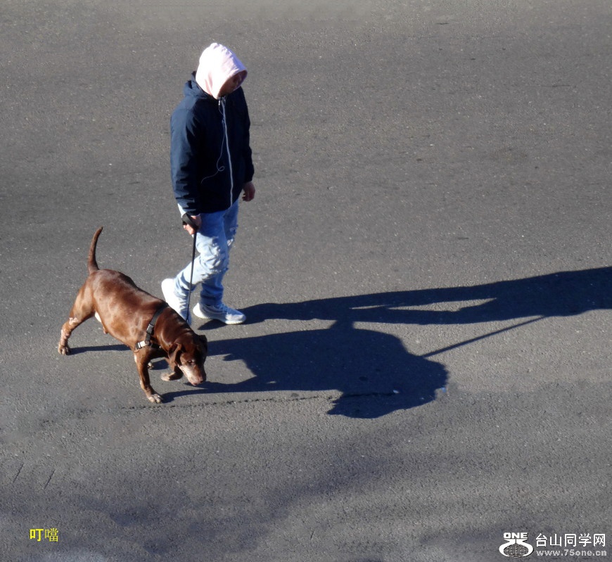 DSC09816b_1.jpg