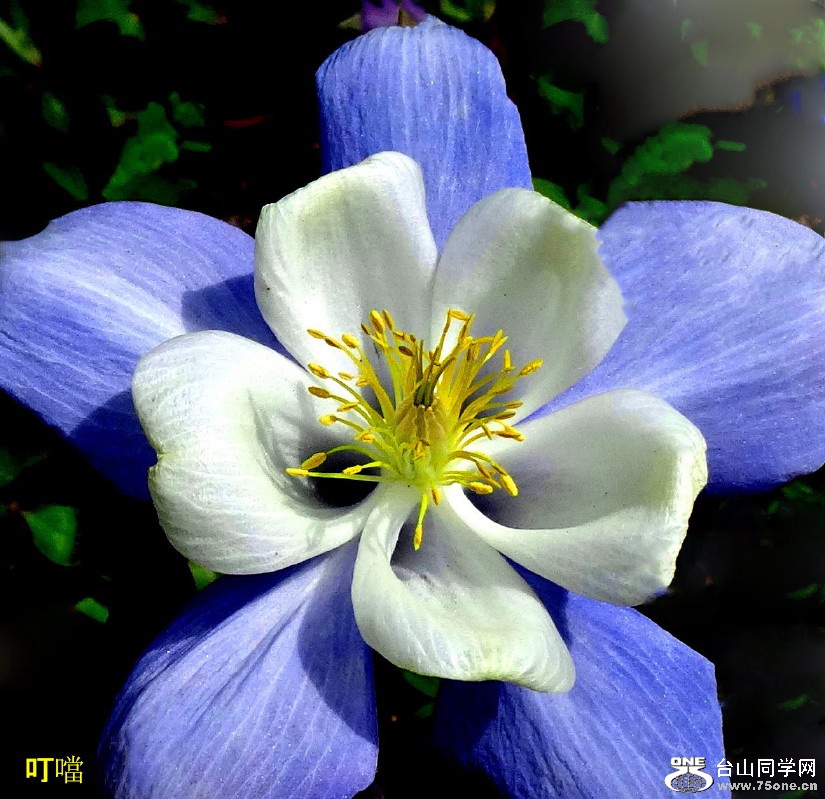 DSC00589b_1.jpg