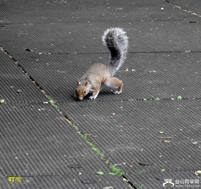 DSC01002_1.JPG