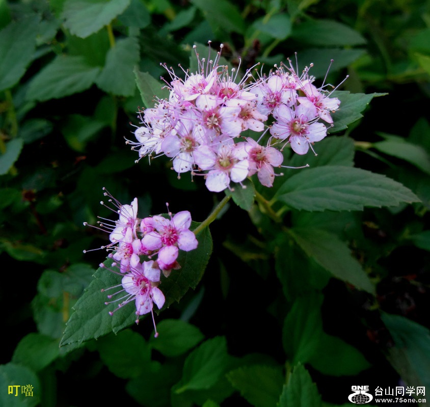 DSC01302_1.JPG