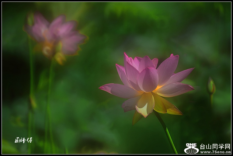 DSC_9366.jpg