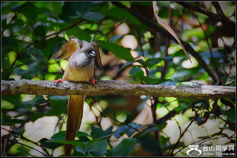 DSC_7686.JPG