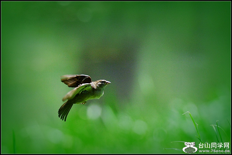 DSC_3435.JPG