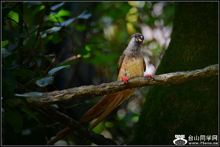 DSC_7680.JPG
