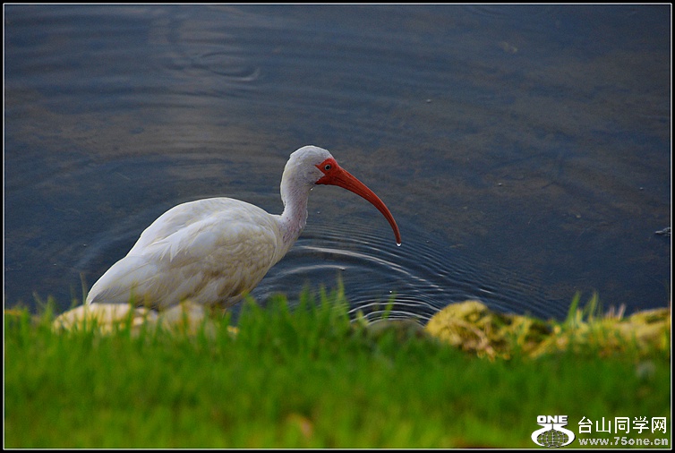 DSC_6463_.jpg