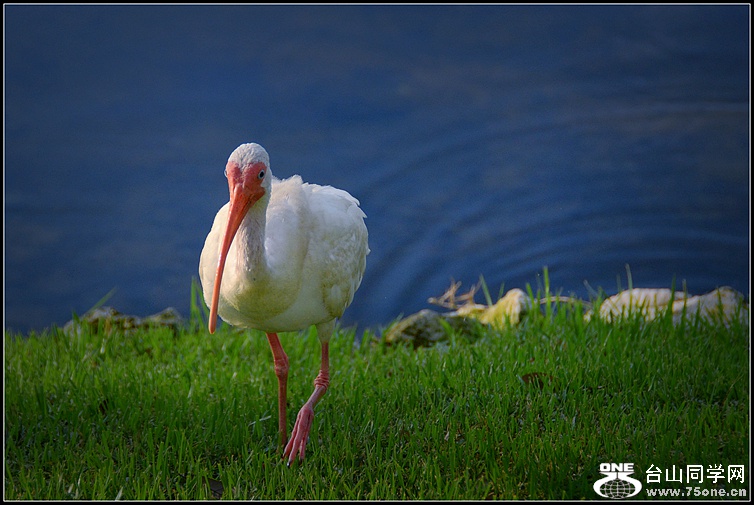 DSC_6468.jpg