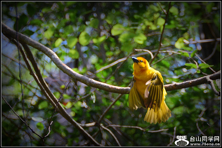 DSC_7858.JPG