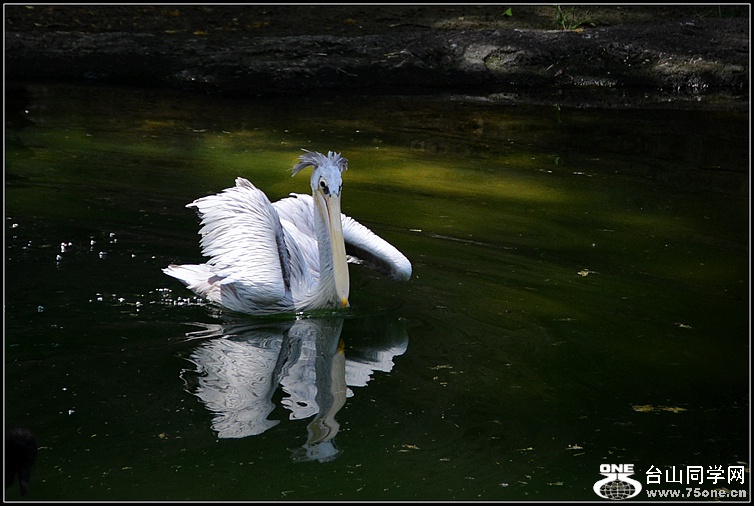 DSC_7460.JPG