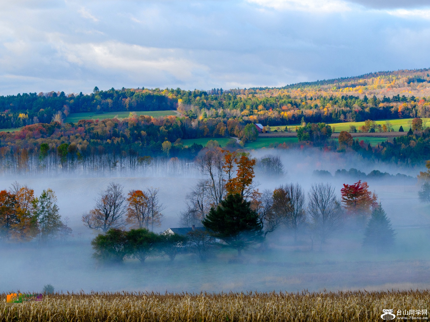 DSC_8672__.jpg